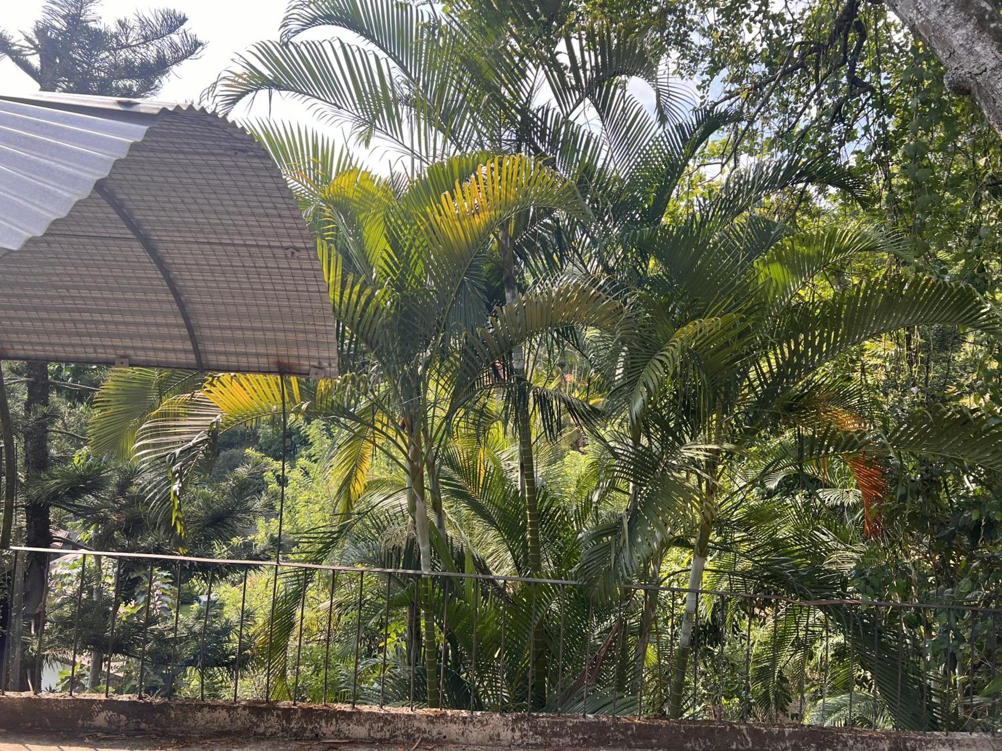 Canopy Villa キャンディー エクステリア 写真