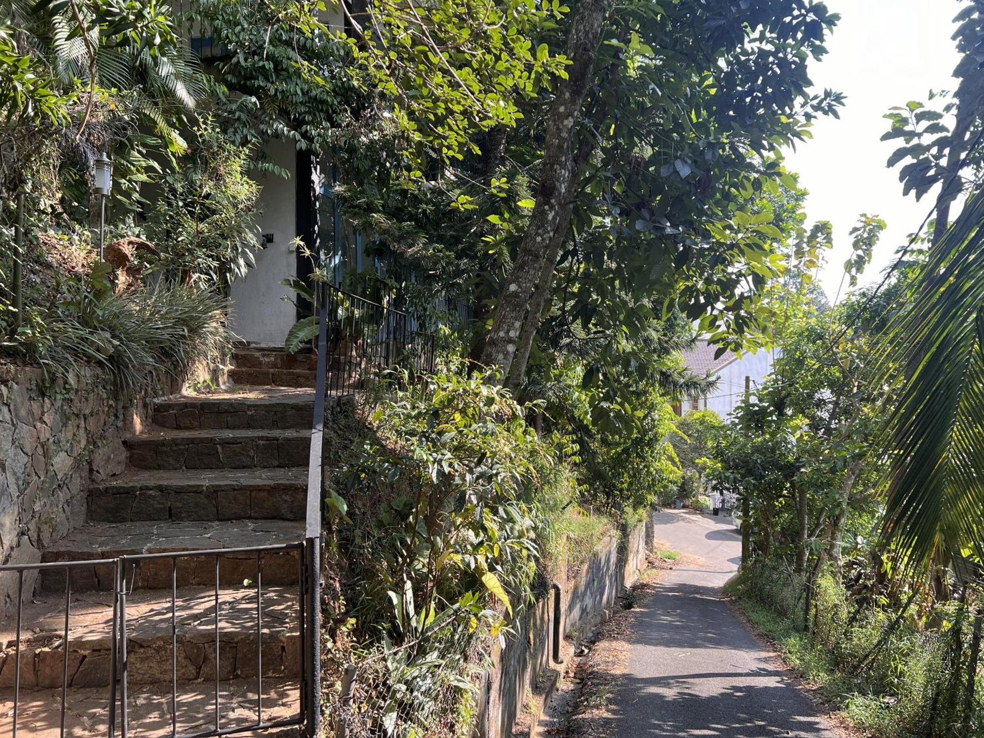 Canopy Villa キャンディー エクステリア 写真